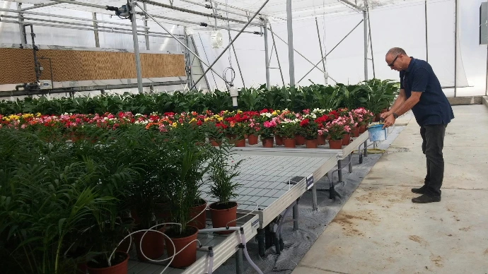 a man is watering flowers in a greenhouse